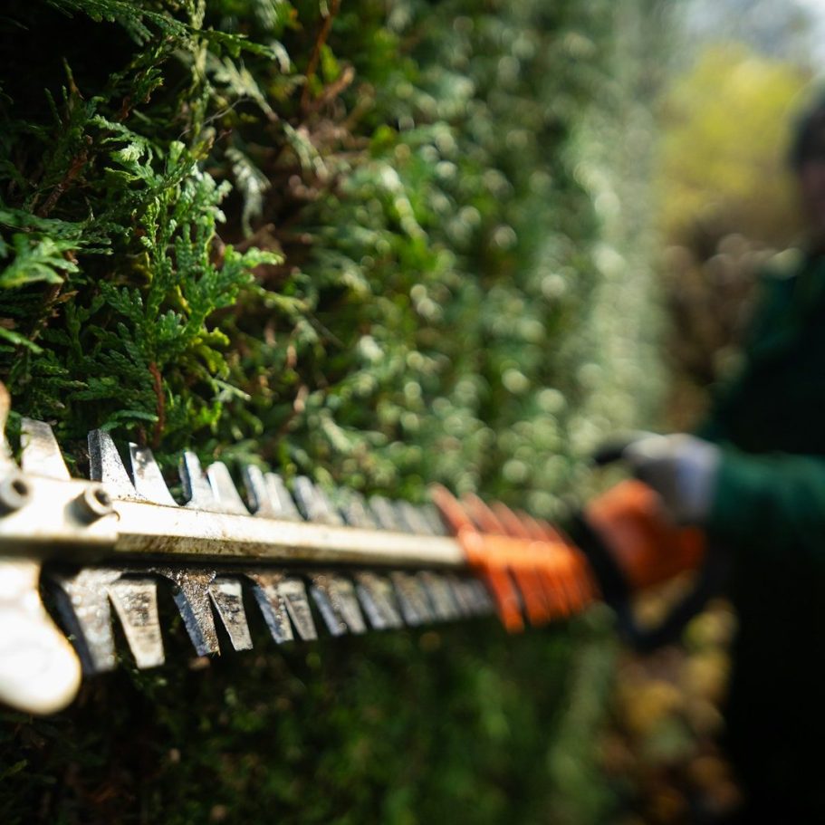 Garten- und Landschaftsbau Garten- und Landschaftsbau Aufträge für Fachbetriebe – Pflaster, Grünflächen, Außenanlagen